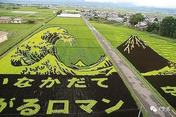 小e講堂の捋一捋土壤墑情監測相關的幾個關鍵概念!