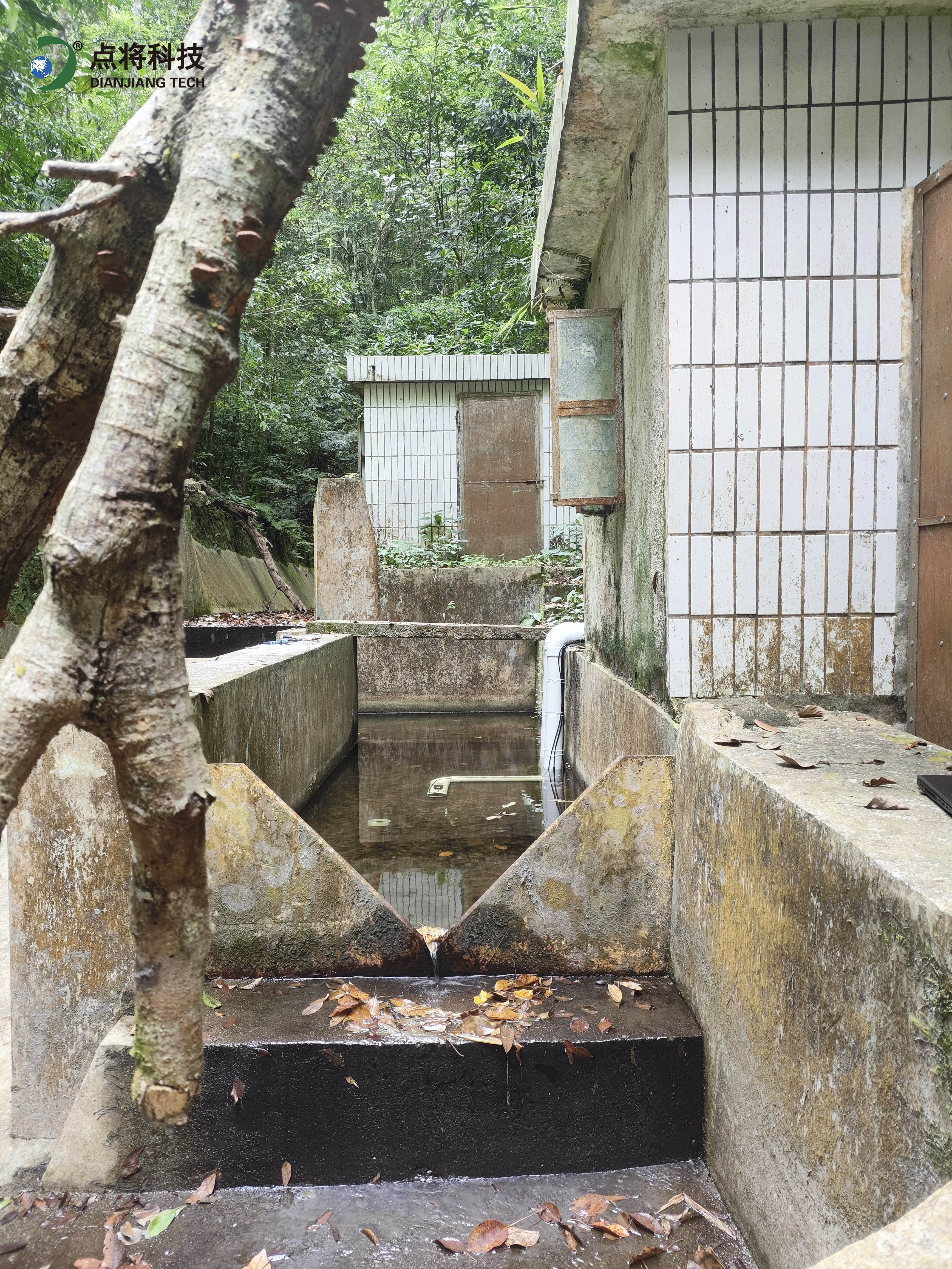 水質監測系統