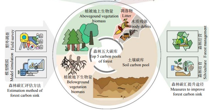 森林碳匯監測系統
